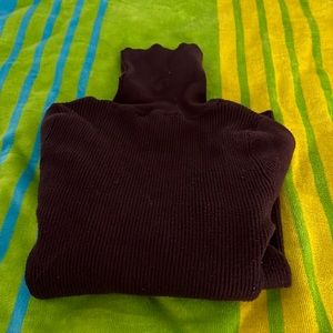 Express Turtleneck sweater